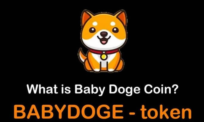 babydoge币行情