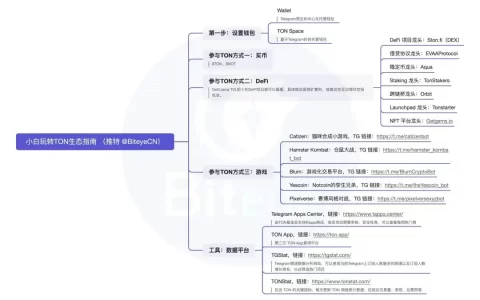 必看攻略：深入 TON 生态，快速捕捉早期红利