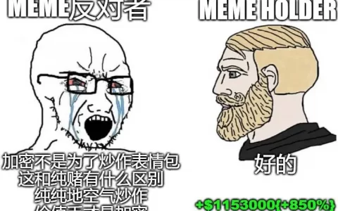 当市值前 100 已有 9 个 MEME，与之拥抱已经成为了一种不可逆转的浪潮