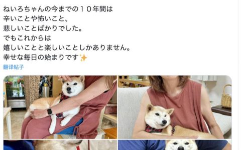 DOGE原型主人新宠“Neiro”爆火：多个同名MEME获数亿资金参与，未经授权遭“抗议”