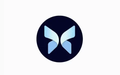 近期完成 5000 万美元融资的 Morpho，能否成为 DeFi 借贷赛道新巨头？