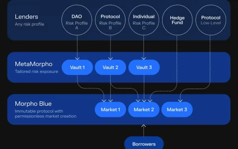 一文解析借贷协议 Morpho：凭何融资逾 8000 万美元？