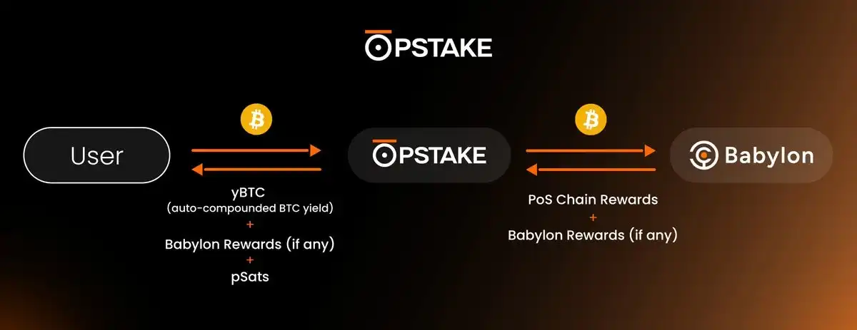 除 WBTC 外，还有哪些托管 BTC 可选择？