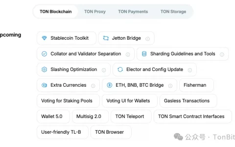 TonBit 报告：2024 TON 生态全景观察及安全研究报告