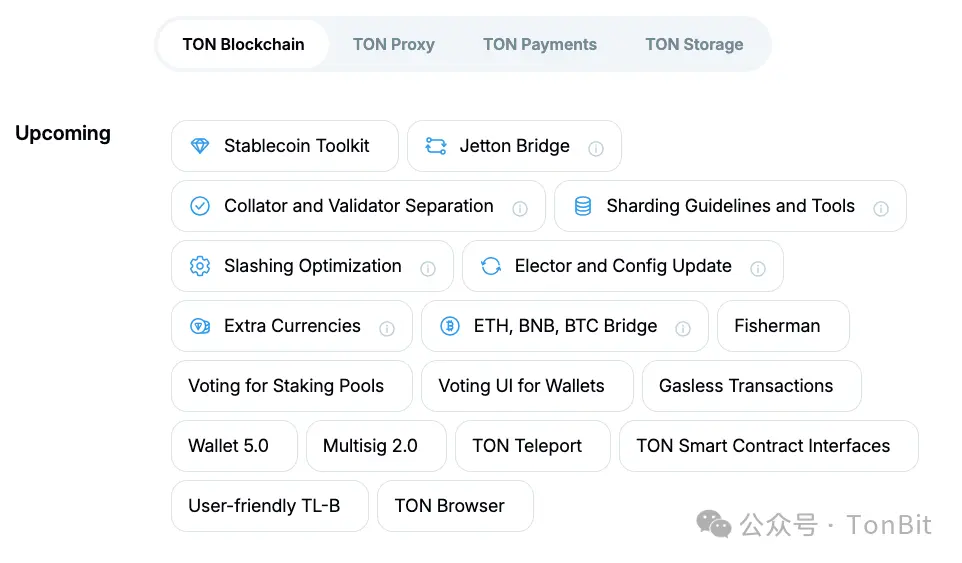 TonBit 报告：2024 TON 生态全景观察及安全研究报告