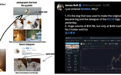 SHIBA原型狗meme一天50倍，以太坊上演「百狗狂吠」潮｜meme今天炒什么？