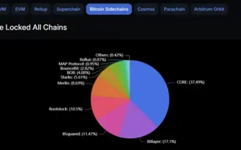 BTCFi：释放比特币万亿市值的创新之旅