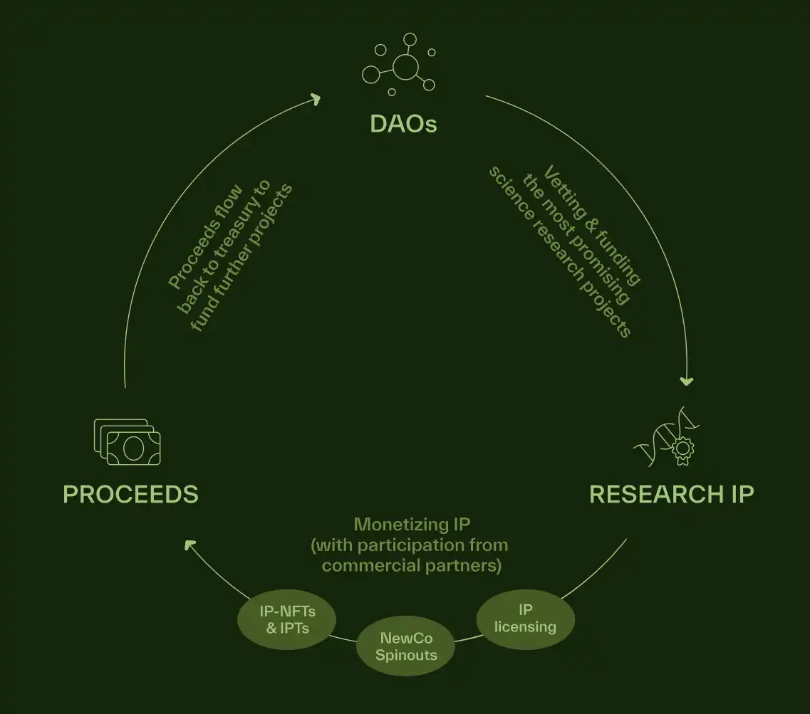 解读BIO Protocol：Binance Labs首涉DeSci赛道；获CZ和Vitalik关注的「链上科学版Y Combinator」