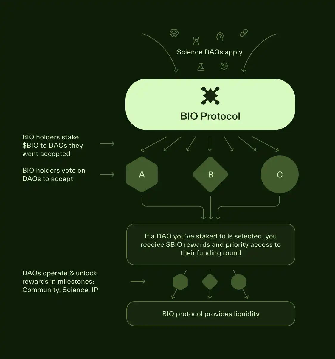 解读BIO Protocol：Binance Labs首涉DeSci赛道；获CZ和Vitalik关注的「链上科学版Y Combinator」